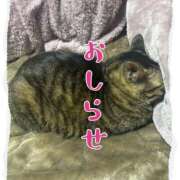 ヒメ日記 2025/03/11 01:21 投稿 みく SILK SPA福岡店