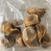 ヒメ日記 2025/02/14 19:14 投稿 札幌ミコト 東京★出張マッサージ委員会Z