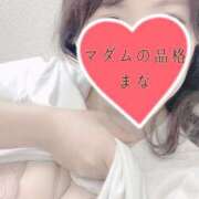 ヒメ日記 2024/12/13 13:00 投稿 まな マダムの品格