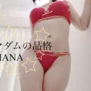 ヒメ日記 2024/12/25 15:44 投稿 まな マダムの品格