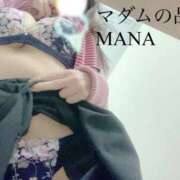 ヒメ日記 2025/01/07 17:41 投稿 まな マダムの品格