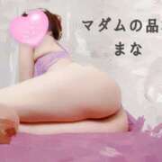 ヒメ日記 2025/01/24 11:06 投稿 まな マダムの品格