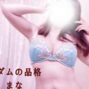 ヒメ日記 2025/02/01 15:39 投稿 まな マダムの品格