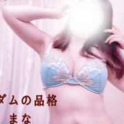 ヒメ日記 2025/02/22 09:45 投稿 まな マダムの品格