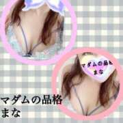 ヒメ日記 2025/03/07 12:06 投稿 まな マダムの品格