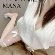 ヒメ日記 2025/03/29 12:41 投稿 まな マダムの品格