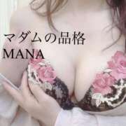 ヒメ日記 2025/04/04 12:05 投稿 まな マダムの品格