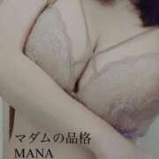 ヒメ日記 2025/04/05 13:46 投稿 まな マダムの品格