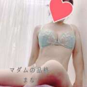 ヒメ日記 2025/04/14 17:48 投稿 まな マダムの品格