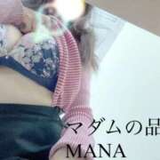 ヒメ日記 2025/05/07 09:02 投稿 まな マダムの品格