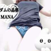 ヒメ日記 2025/05/17 10:09 投稿 まな マダムの品格