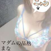 ヒメ日記 2025/06/20 16:51 投稿 まな マダムの品格