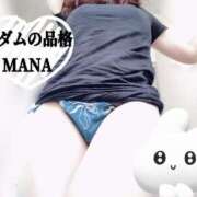 ヒメ日記 2025/07/04 09:53 投稿 まな マダムの品格