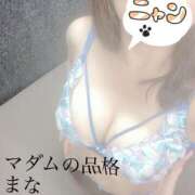 ヒメ日記 2025/07/14 21:12 投稿 まな マダムの品格