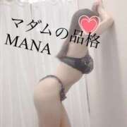 ヒメ日記 2025/08/03 10:57 投稿 まな マダムの品格