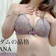 ヒメ日記 2025/08/04 09:53 投稿 まな マダムの品格