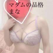 ヒメ日記 2025/08/06 09:01 投稿 まな マダムの品格