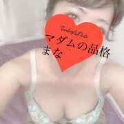 ヒメ日記 2025/08/25 12:16 投稿 まな マダムの品格