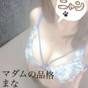 ヒメ日記 2025/08/26 09:01 投稿 まな マダムの品格