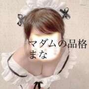 ヒメ日記 2025/08/26 23:24 投稿 まな マダムの品格