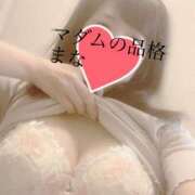 ヒメ日記 2025/09/25 23:27 投稿 まな マダムの品格