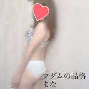 ヒメ日記 2025/09/26 17:46 投稿 まな マダムの品格