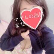 ヒメ日記 2025/11/07 10:04 投稿 まな マダムの品格