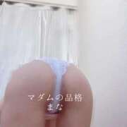 ヒメ日記 2025/11/11 22:49 投稿 まな マダムの品格