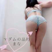 ヒメ日記 2025/11/15 10:00 投稿 まな マダムの品格