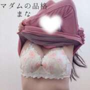 ヒメ日記 2025/11/17 22:34 投稿 まな マダムの品格