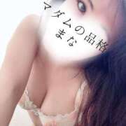 ヒメ日記 2026/01/07 15:52 投稿 まな マダムの品格