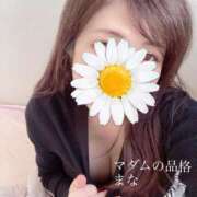 ヒメ日記 2026/01/14 09:39 投稿 まな マダムの品格