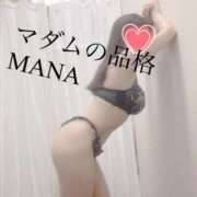 ヒメ日記 2026/01/24 10:00 投稿 まな マダムの品格