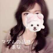 ヒメ日記 2026/01/29 09:02 投稿 まな マダムの品格
