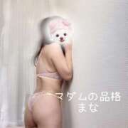 ヒメ日記 2026/02/01 09:52 投稿 まな マダムの品格