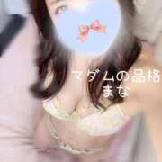 ヒメ日記 2026/02/02 09:25 投稿 まな マダムの品格