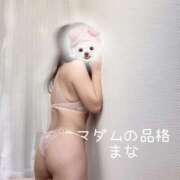 ヒメ日記 2026/02/10 13:13 投稿 まな マダムの品格