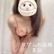 ヒメ日記 2026/03/07 11:19 投稿 まな マダムの品格