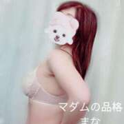 ヒメ日記 2026/03/16 14:01 投稿 まな マダムの品格