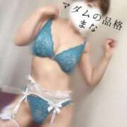 ヒメ日記 2026/09/07 17:41 投稿 まな マダムの品格