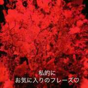 ヒメ日記 2025/03/17 08:17 投稿 みみ 奥様の実話 なんば店