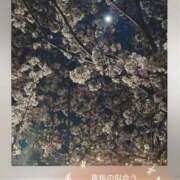 ヒメ日記 2025/03/27 19:41 投稿 みみ 奥様の実話 なんば店