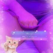 ヒメ日記 2025/06/13 11:30 投稿 みみ 奥様の実話 なんば店