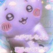 ヒメ日記 2025/09/30 12:00 投稿 みみ 奥様の実話 なんば店