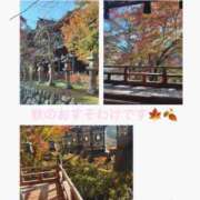 ヒメ日記 2025/11/23 12:00 投稿 みみ 奥様の実話 なんば店