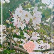 ヒメ日記 2026/04/05 20:00 投稿 みみ 奥様の実話 なんば店