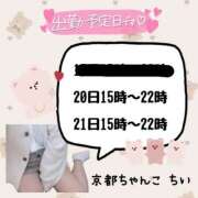 ヒメ日記 2024/12/17 22:13 投稿 ちい 京都祇園・南インターちゃんこ