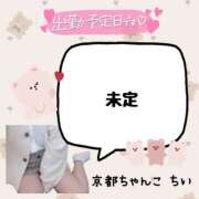 ヒメ日記 2025/01/30 22:03 投稿 ちい 京都祇園・南インターちゃんこ