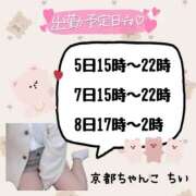 ヒメ日記 2025/03/03 02:00 投稿 ちい 京都祇園・南インターちゃんこ