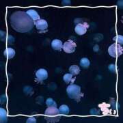 ヒメ日記 2025/03/03 20:15 投稿 ちい 京都祇園・南インターちゃんこ